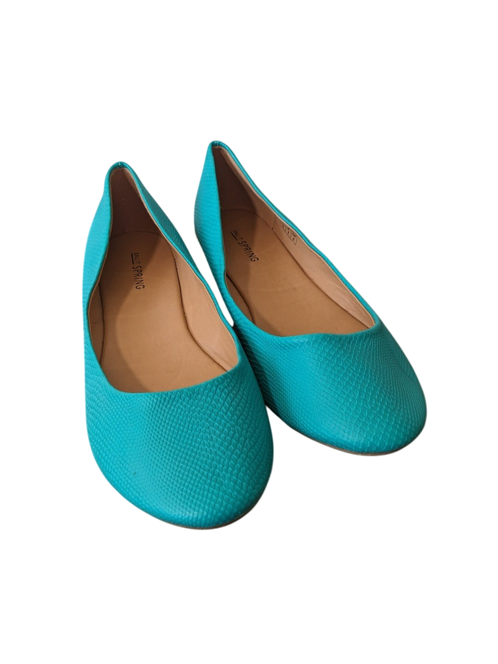 Call it Spring teal flats - SZ 10