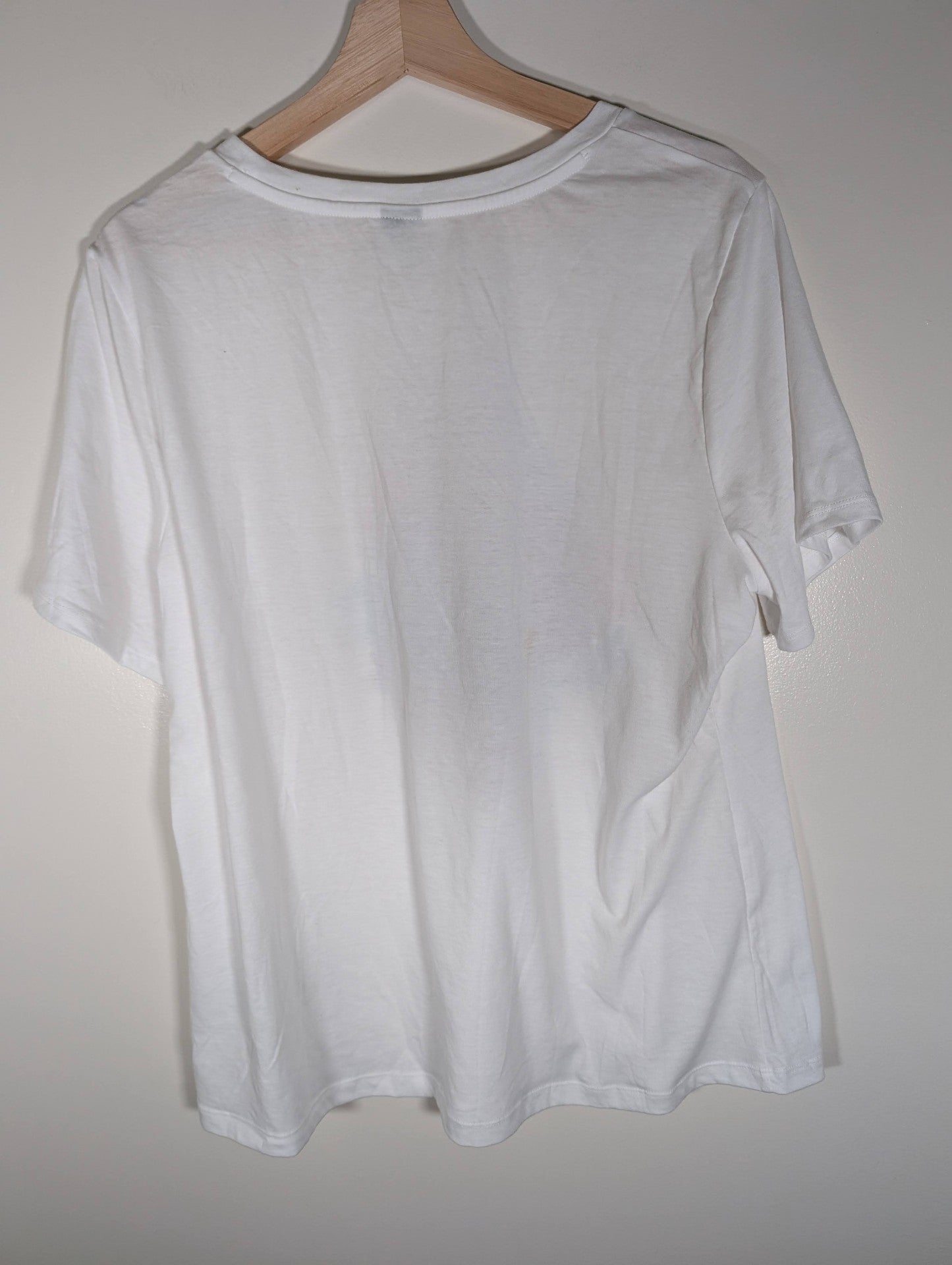 NWT Sansara graphic tee - XXL (Minor Flaw)
