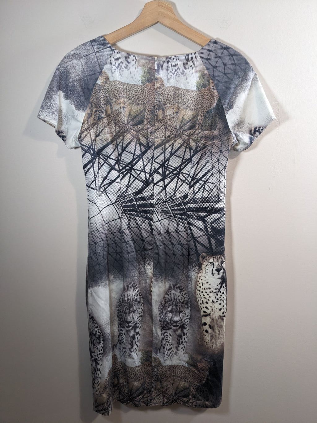 Simon Chang Cheetah Dress - Sz 4