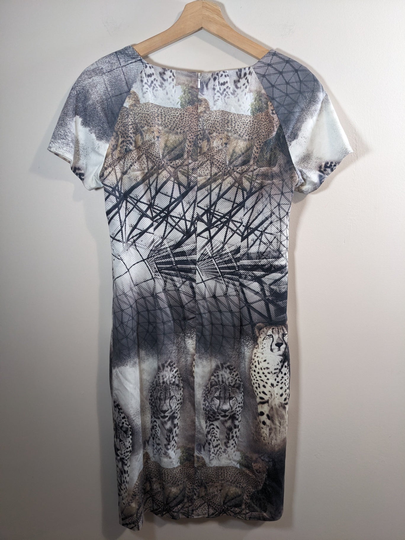 Simon Chang Cheetah Dress - Sz 4
