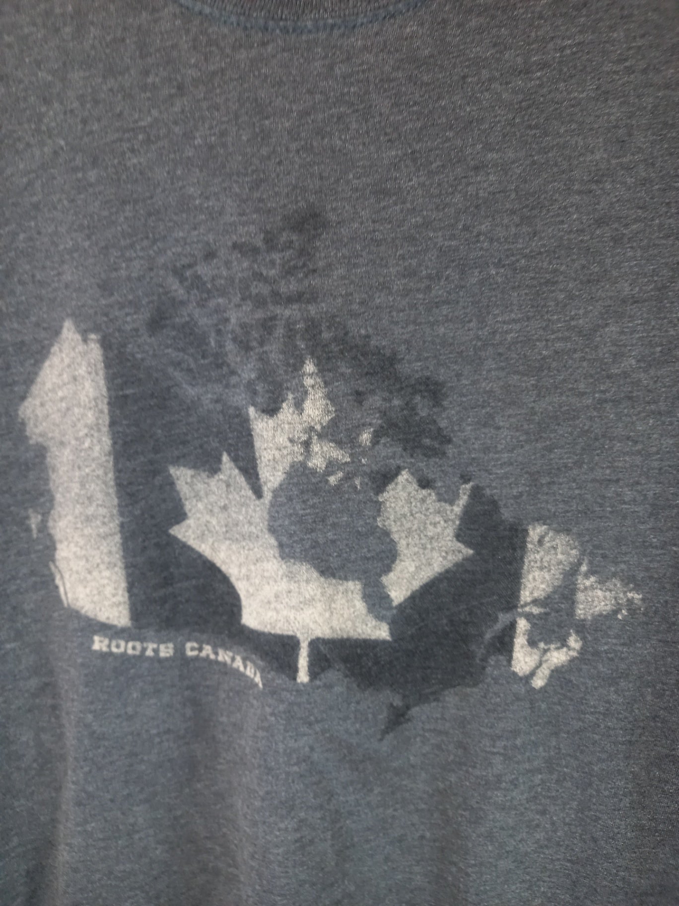 Roots Canada t-Shirt - Medium (Minor Flaw)