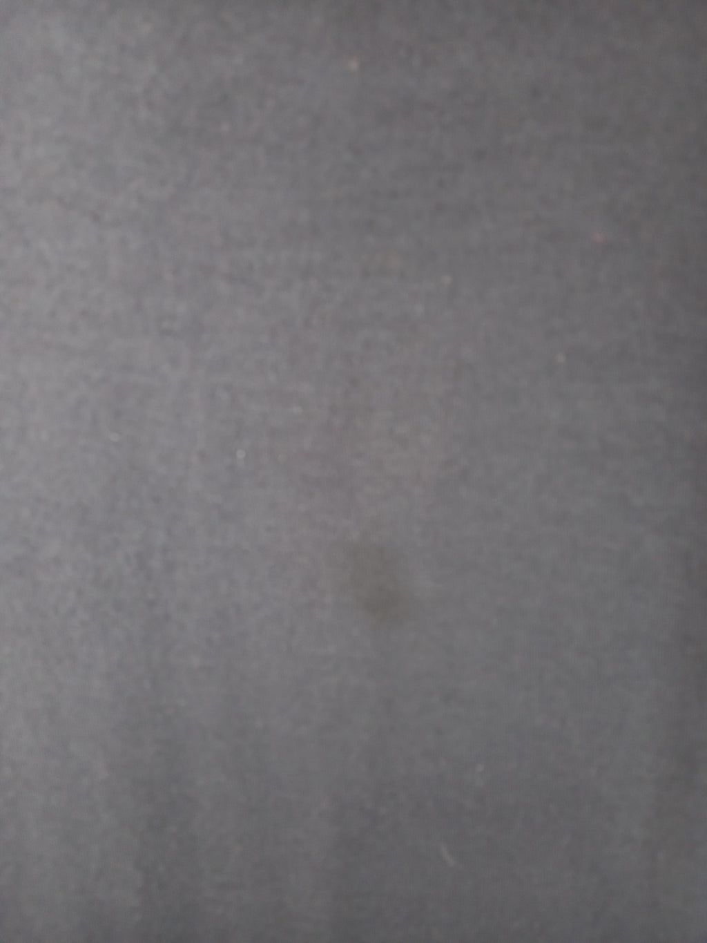 Tahari t-shirt - Medium (Minor Flaw)
