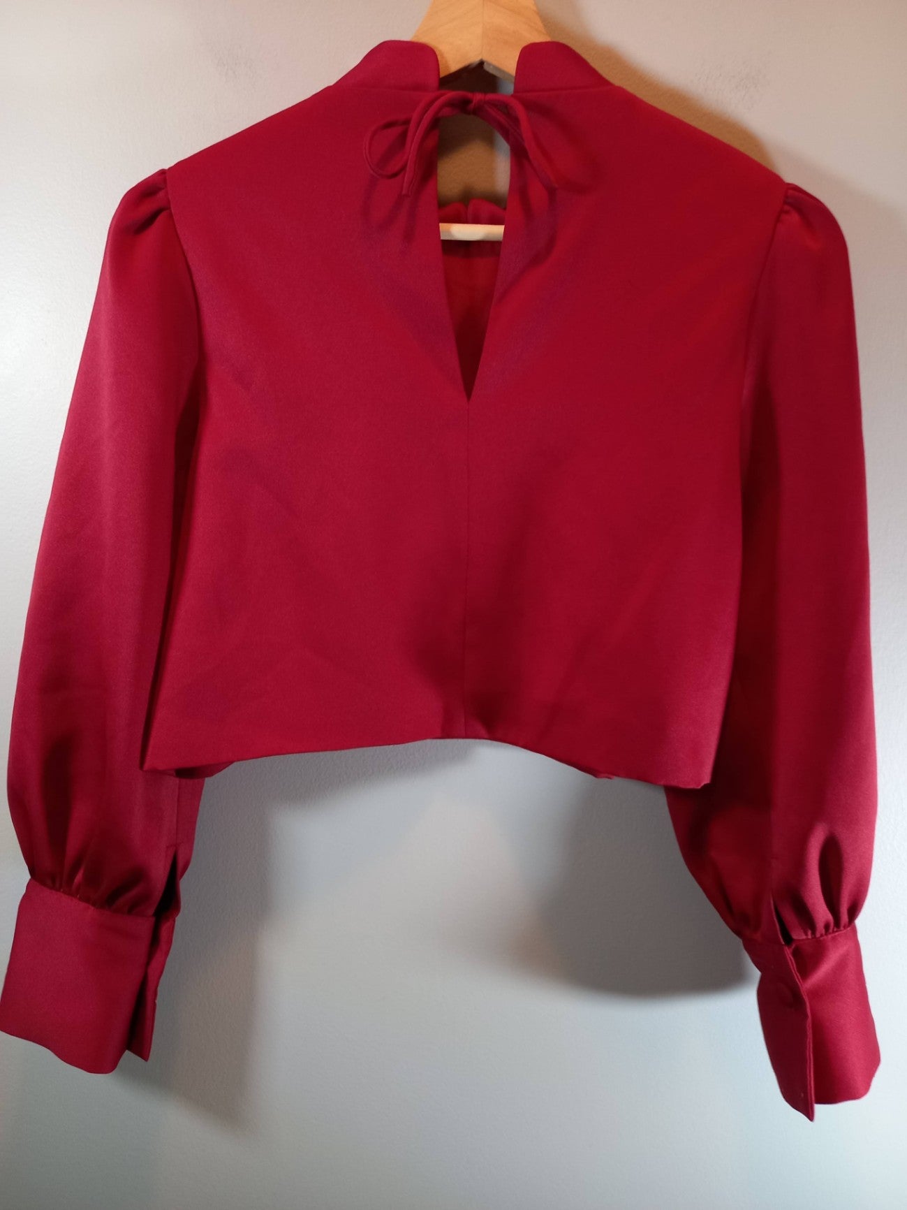BNK Brand Red Crop Blouse Sz S