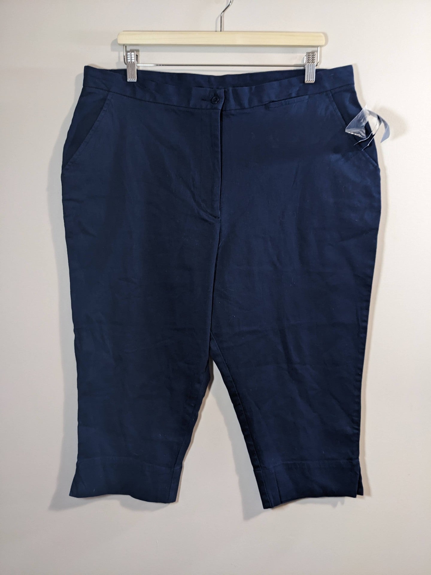 Casual Elements Navy Capris - SZ 20