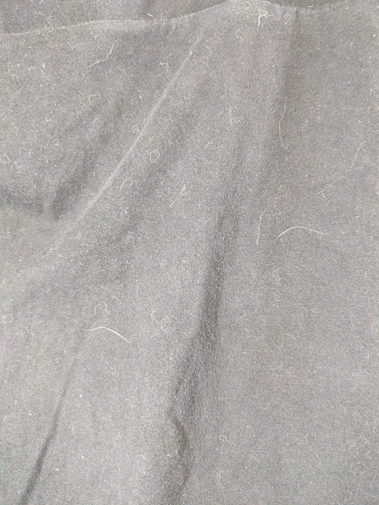 Disney Princess Black Capri Leggings - 4XL