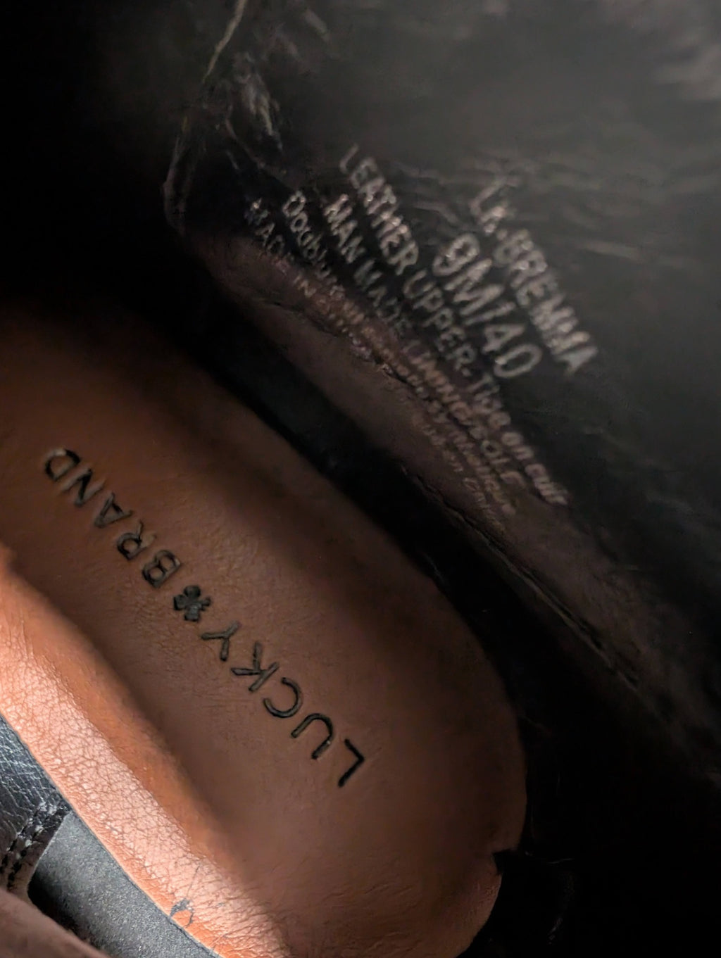 Lucky Brand ankle boots - SZ 9