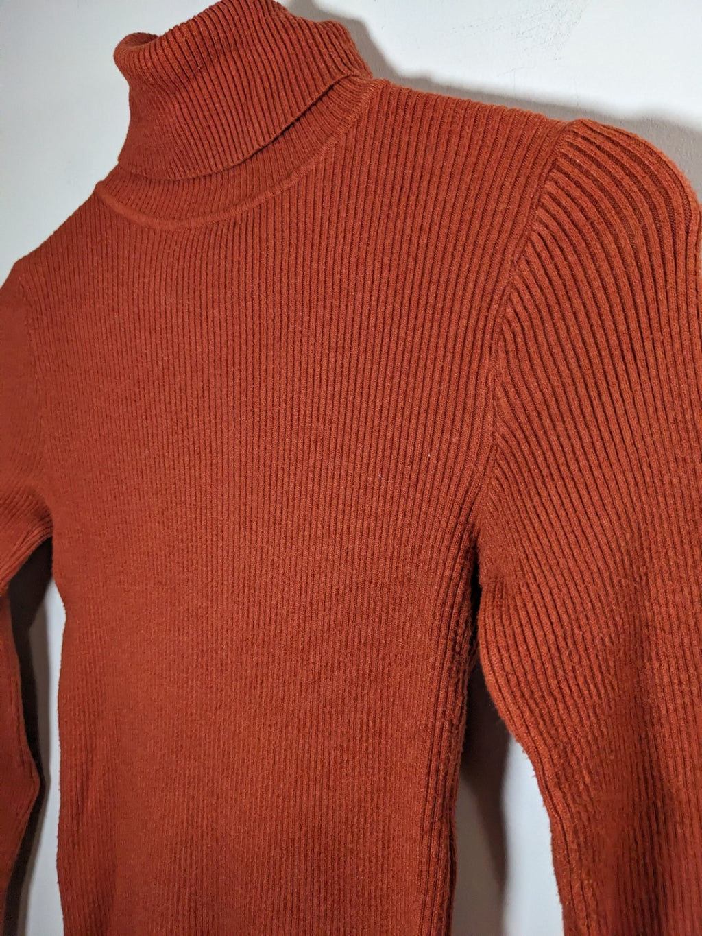 Rust Turtleneck - appears small