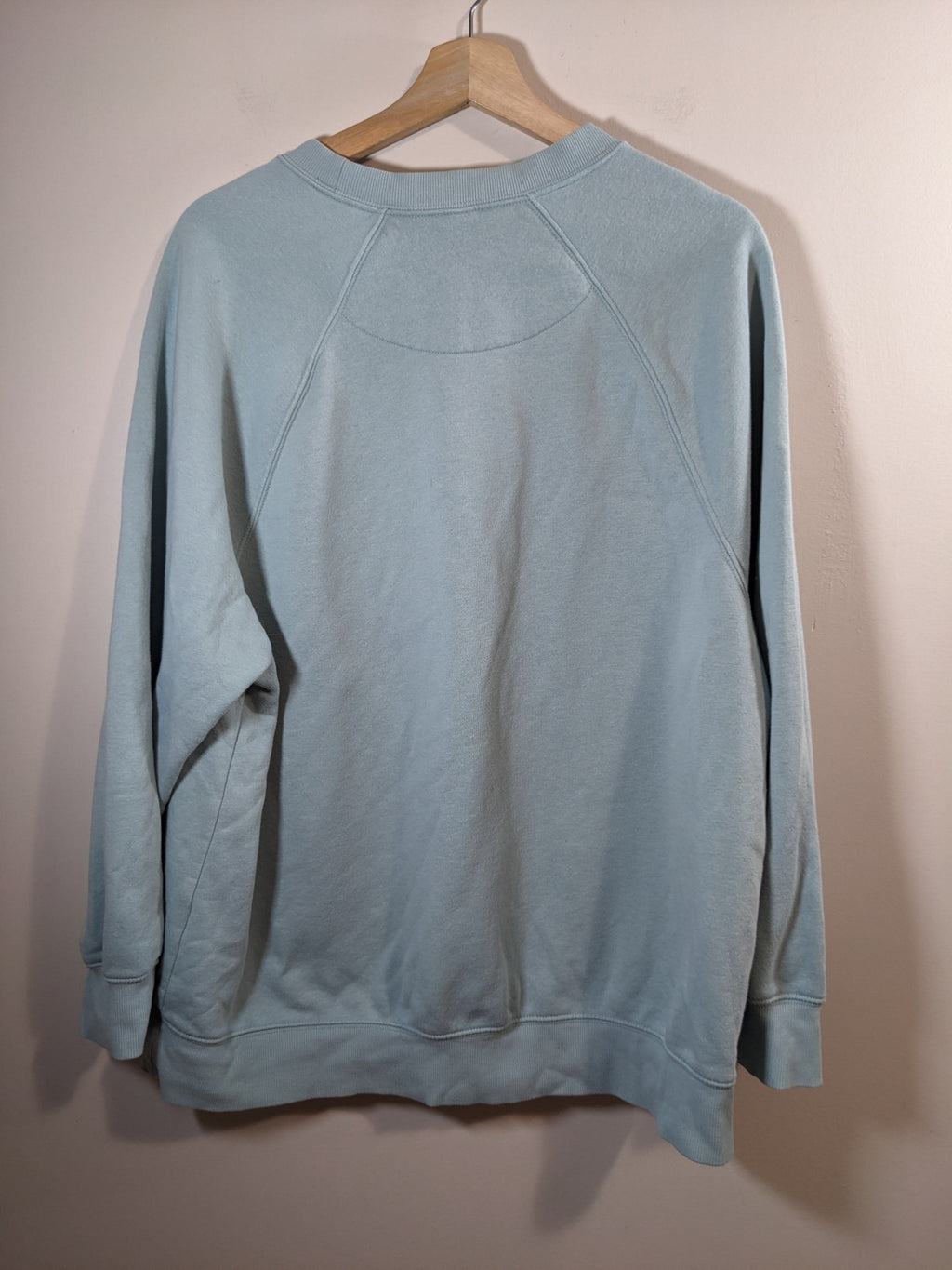 Old Navy Mint Crewneck - L