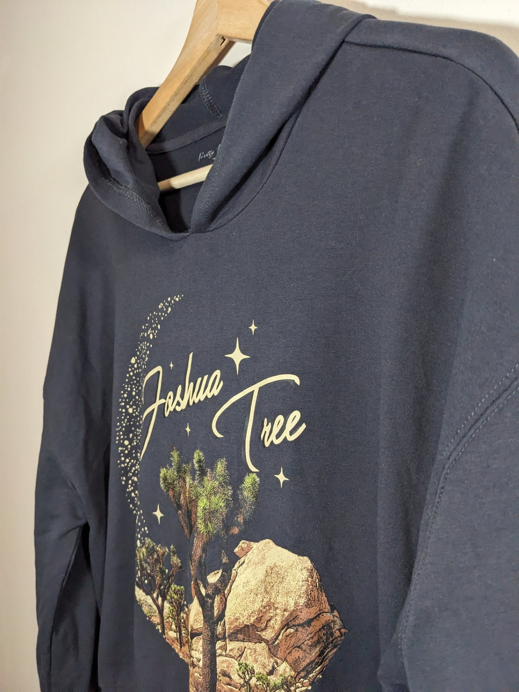 Pretty Rebellions Joshua Tree Hoodie - M