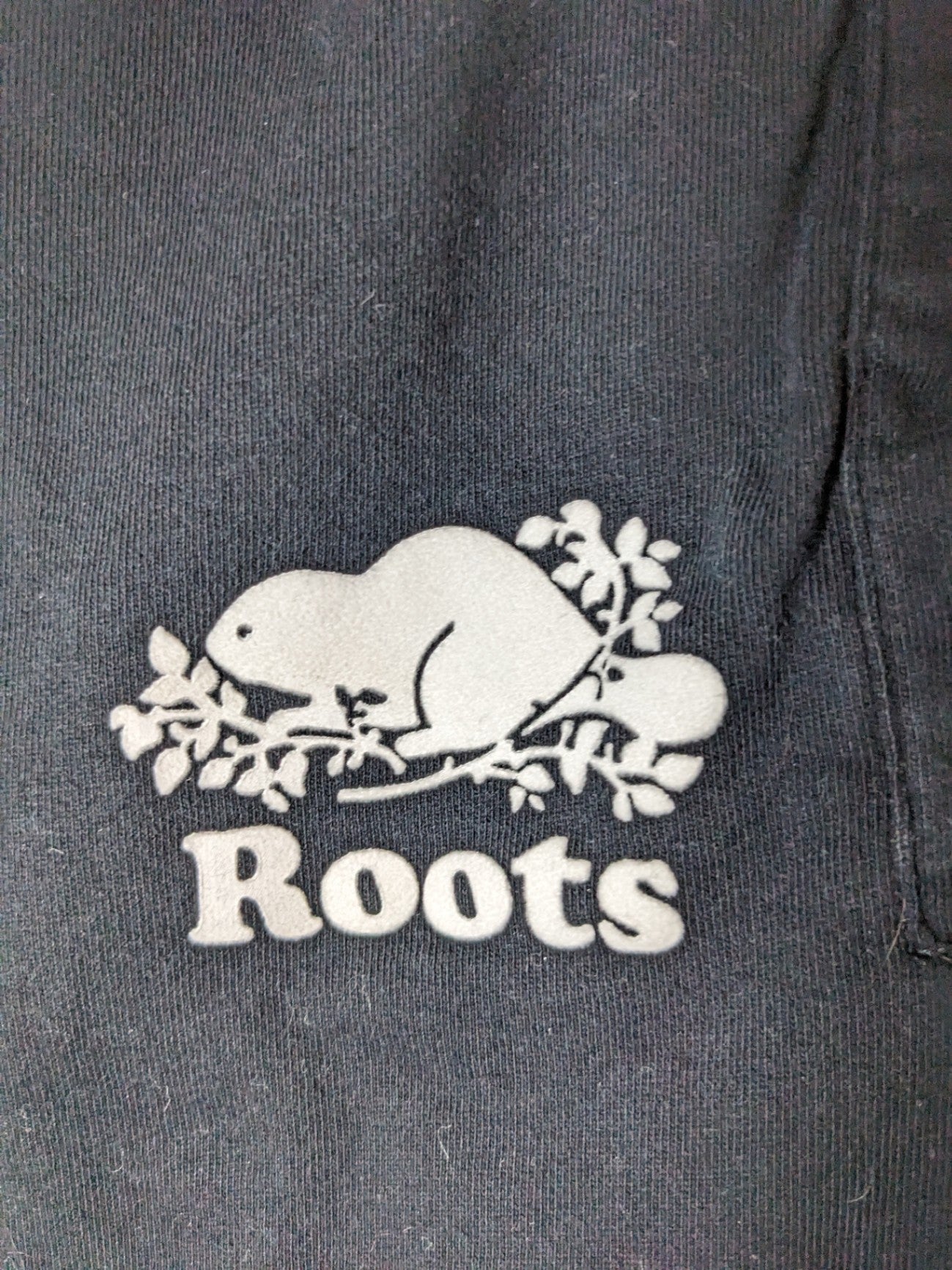 Roots Sweat Shorts - L