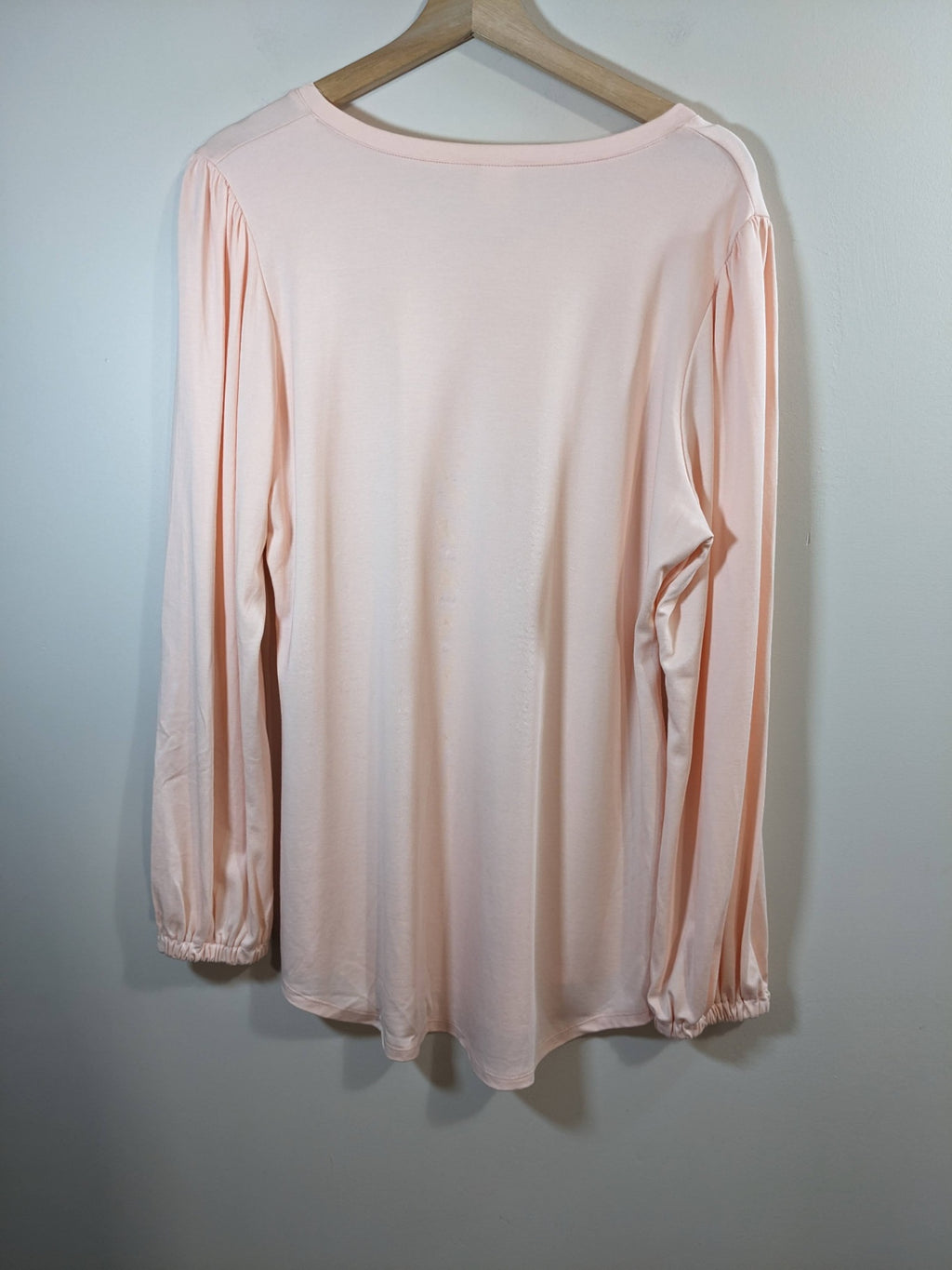 Dwelling Apparel Light Pink Long Sleeve - XL