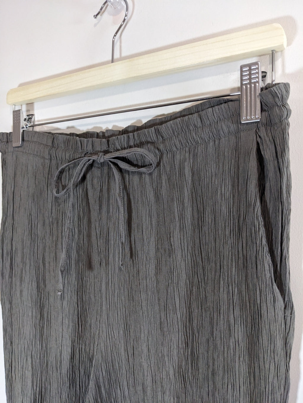 ZARA Crinkle Pants - M