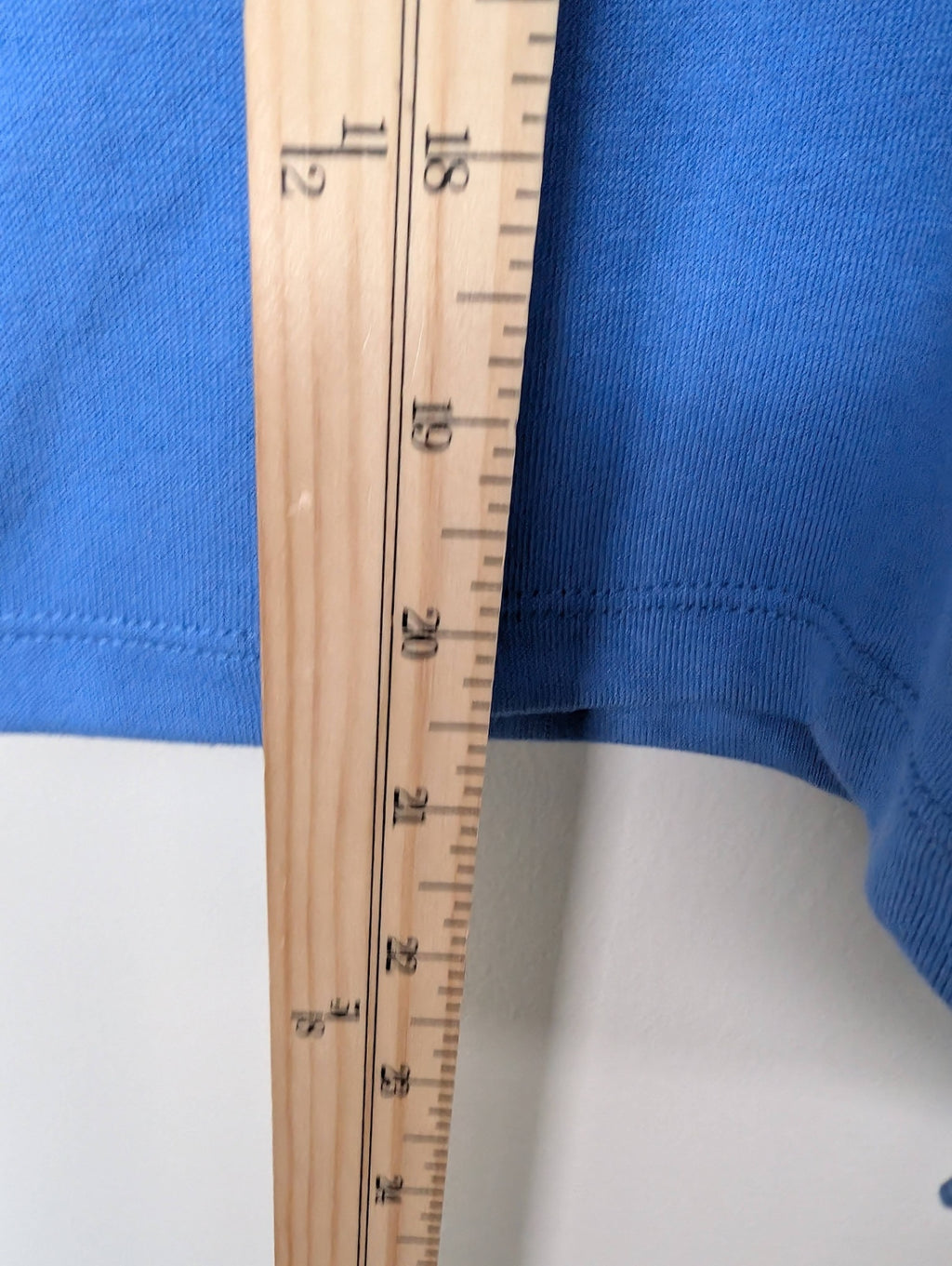 NWT ONLY blue hooded top - L
