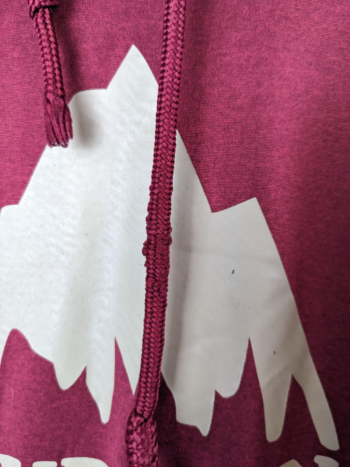 Burton Burgundy Logo Hoodie - XL